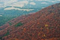 Landscape of red trees forest on Carpathian mountains. Beauty of Royalty Free Stock Photo