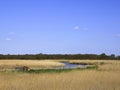 Landscape of Reedbed on the River Alde - Snape - Suffolk Royalty Free Stock Photo