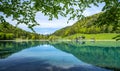 Landscape reflected in the idyllic Hintersteiner See in Tirol, Austria. Europe