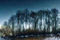 Landscape in the reflection of the river, trees growing on the banks of the river are reflected in the water Royalty Free Stock Photo