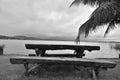 Landscape: Resting bench. Brazil