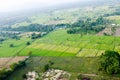 Landscape of rice farm