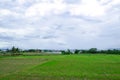 Landscape rice field at the outskirt in the north of Thailand