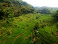 The landscape of rice field terracing in West Java Royalty Free Stock Photo
