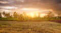 Landscape of rice field and tropical forest with sunset sky. Backhoe working by digging soil. Excavator digging on soil at rice