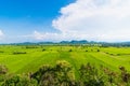 Landscape of the rice field with vague mountain behind.Thailand.