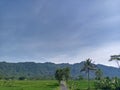 landscape of rice fields and hills in a village on a cloudy sunny day Royalty Free Stock Photo