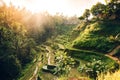 Landscape with rice terraces in famous tourist area of Tagalalang, Bali, Indonesia. Green Rice fields prepare the harves