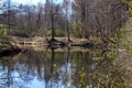 Landscape on the river in April. Royalty Free Stock Photo