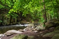 Landscape with river Bode in the Harz area, Germany