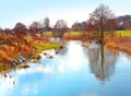 Landscape, river and creek by field with trees, bush and environment in sunshine with green plants. Woods, nature and Royalty Free Stock Photo