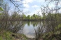 Landscape river, dry, green bushes Royalty Free Stock Photo