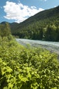 Landscape with river and forest in British Columbia. Canada Royalty Free Stock Photo