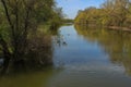 Landscape - a river with geese in water in summer