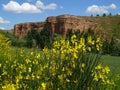 Landscape in the River Henares. Guadalajara. Spain. Royalty Free Stock Photo