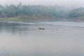 Landscape of river and houseboat with morning mist Royalty Free Stock Photo