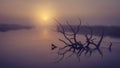 Landscape of river on morning misty sunrise. Old dry tree in water in early foggy dawn. Scenic river