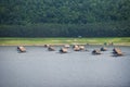 Landscape of river mountain and bamboo houseboat raft floating on riverside at a lake for relax in holiday - Huay Kra Ting Royalty Free Stock Photo