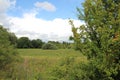 Landscape by River Rother Treeton Royalty Free Stock Photo