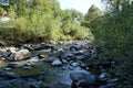 Landscape from a river running through the forest