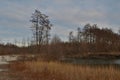 Landscape with a river, a sandy shore and trees against a sky covered with clouds in spring Royalty Free Stock Photo