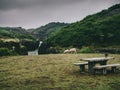 landscape with river, sheep and benches with table