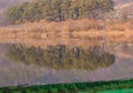 Landscape of river shoreline with reflections of trees