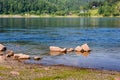 Landscape river, stones, wood, rocks