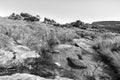 Landscape on the Riverside Arch Hiking Trail near Clanwilliam. Monochrome