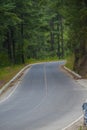 landscape of road between forest with curve in totonicapÃÂ¡n with beautiful pine trees