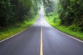 Landscape of Road and green forest