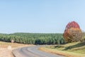 Landscape on road R532 between Sabie and Lydenburg