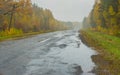 Landscape with road, rain and mist in Ukraine