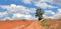 Landscape with road and red earth taken in the south of Brazil