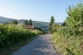 Landscape of a road in a southern countryside in Italy. Trees and old house