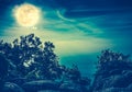 Landscape of rock against blue sky and full moon above wilderness area in forest. Cross process. Royalty Free Stock Photo