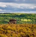 Landscape of a rock formation in three layers of grass, trees an