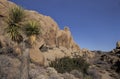 Landscape with rock formations, Joshua Tree National Park, Calif Royalty Free Stock Photo