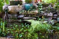 Landscape with rockery pool and plants in a Chinese garden Royalty Free Stock Photo