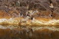 Rocks dyed yellow and orange by the waters of the Rio Tinto, a river loaded with metals and minerals that runs