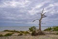 Landscape with rocks and tree on the island BlÃÂ¥ Jungfrun in Sweden Royalty Free Stock Photo