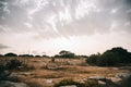 Landscape with rocks and trees and yellow grass Royalty Free Stock Photo