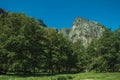 Landscape with rocky cliffs covered by bushes and forest Royalty Free Stock Photo