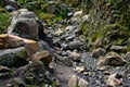 Landscape of a rocky creek path in Huascaran National Park