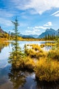 Landscape in the Rocky Mountains Royalty Free Stock Photo