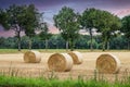 Landscape with rolls of pressed yellow straw left over after cutting and threshing the grain Royalty Free Stock Photo