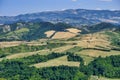 Landscape in Romagna at summer from Sogliano al Rubicone Royalty Free Stock Photo