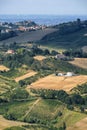 Landscape in Romagna at summer from Sogliano al Rubicone Royalty Free Stock Photo