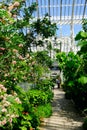 Landscape of Royal Botanic Gardens in Kew