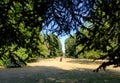 Landscape of Royal Botanic Gardens in Kew